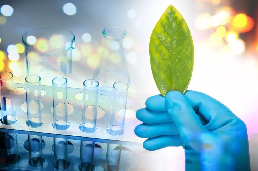 Environmental and Plant Biotechnology test
