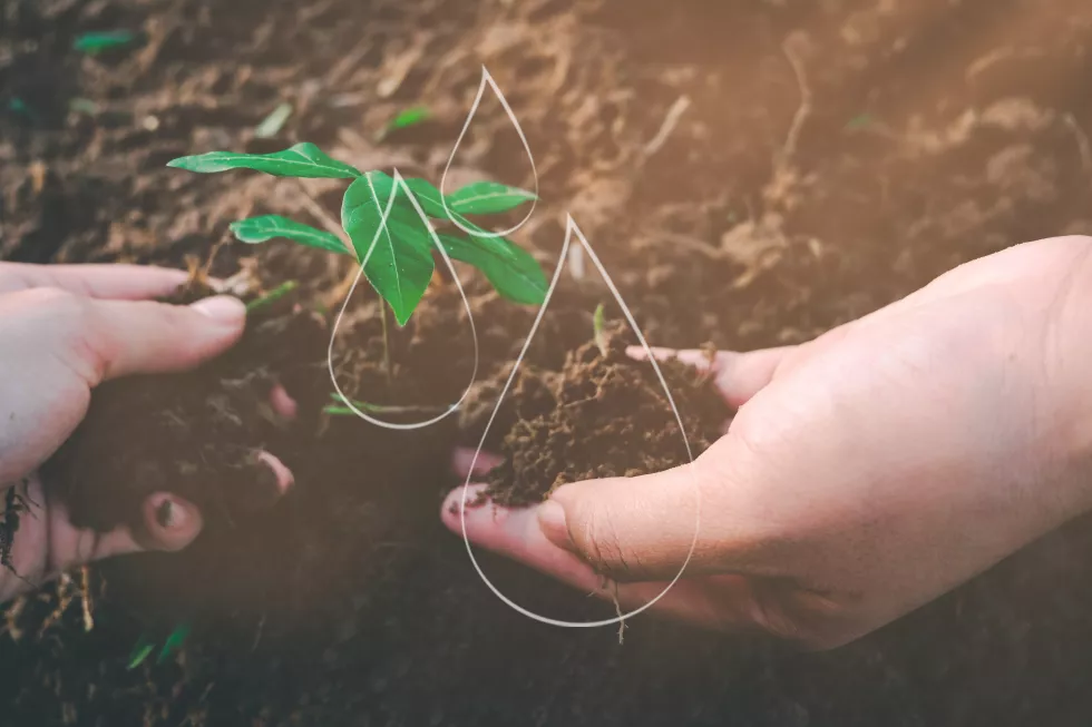 Environmental Protection - Agroecology test