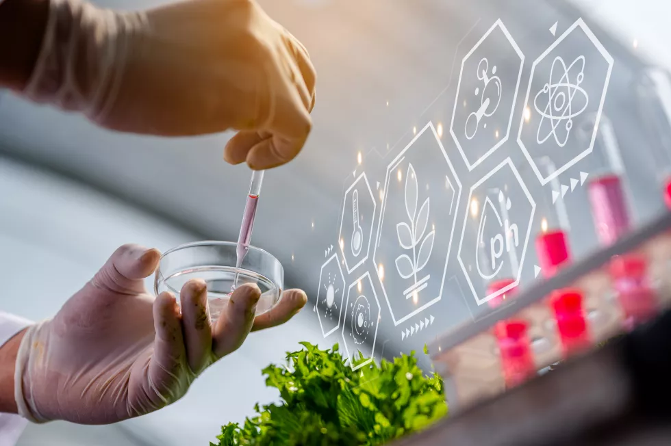 Food Technology test