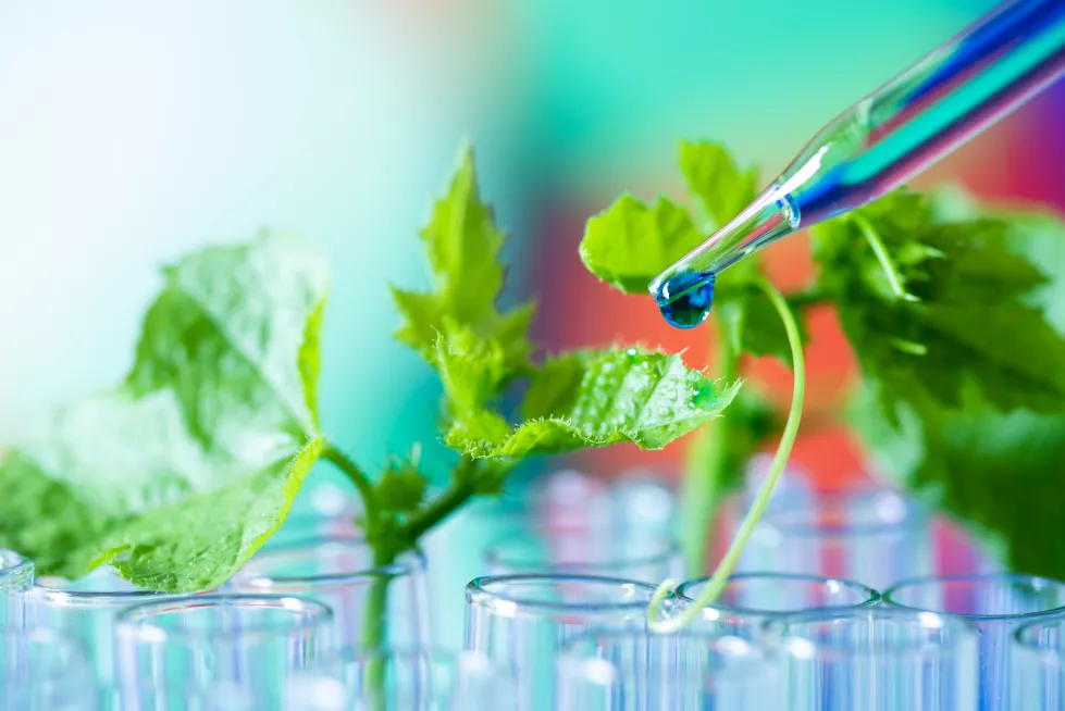 close-up-water-glass