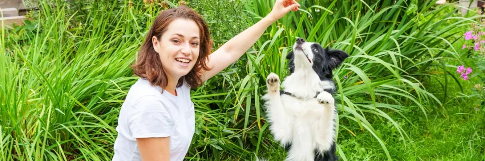 Animal-Behavior-and-Psychology-test-smiling-young-attractive-woman-playing-with-cute-puppy-dog-b