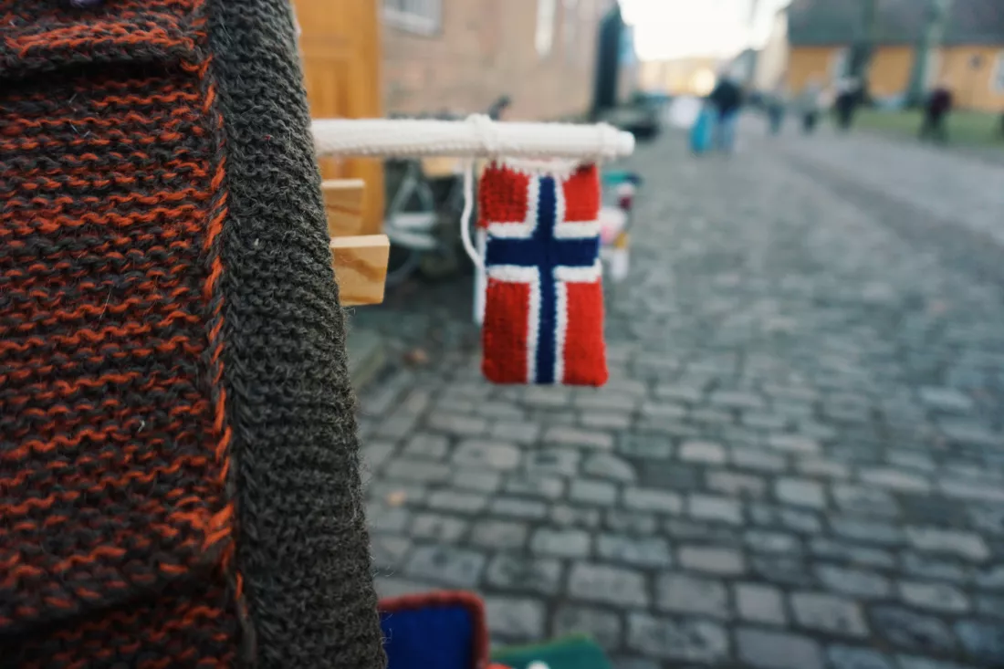 close-up-flag