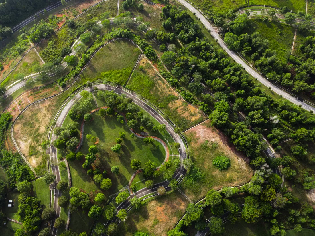 aerial-view-nature-abstract-with-winding-road-pond