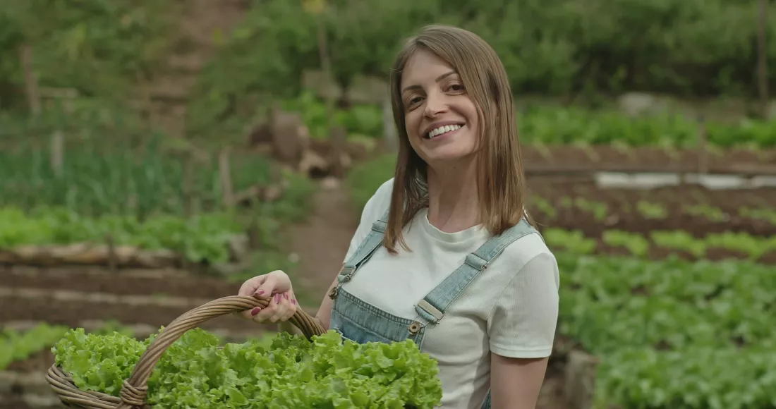 organic-lettuce-farm-sggw-tekst