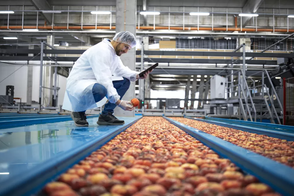 Food Processing, Safety and Quality test en