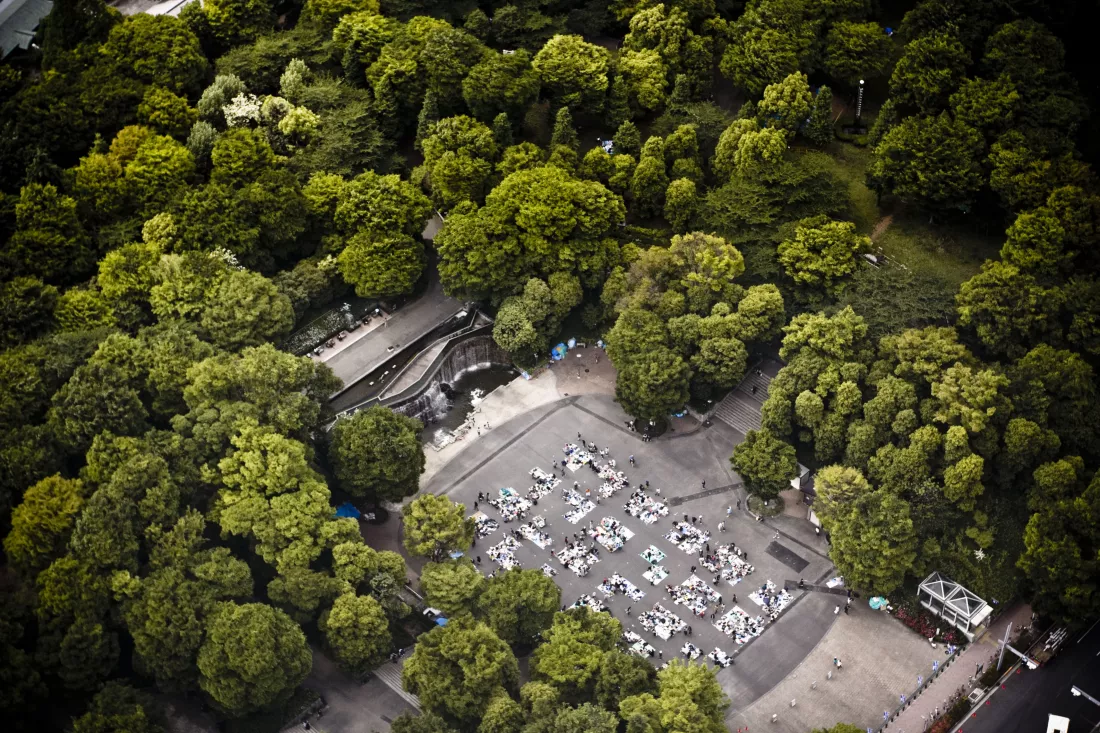 high-angle-view-road-amidst-trees-forest
