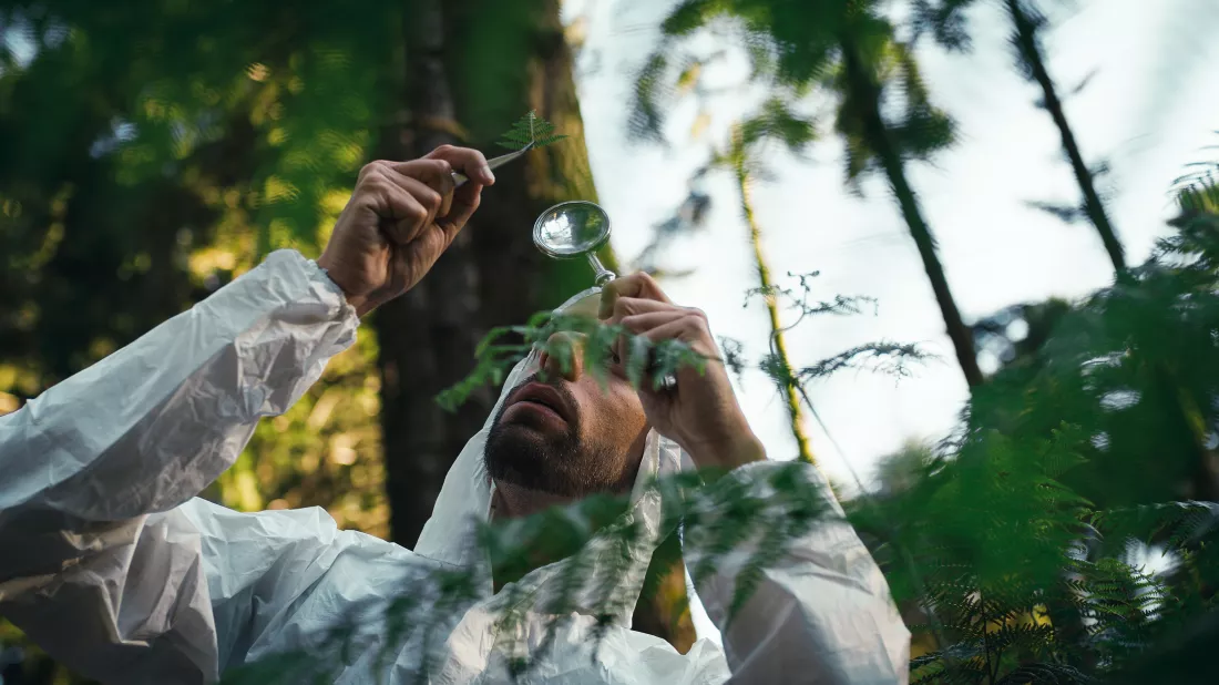 biologist-scientist-analyzes-leaves-endangered-plant-mountains