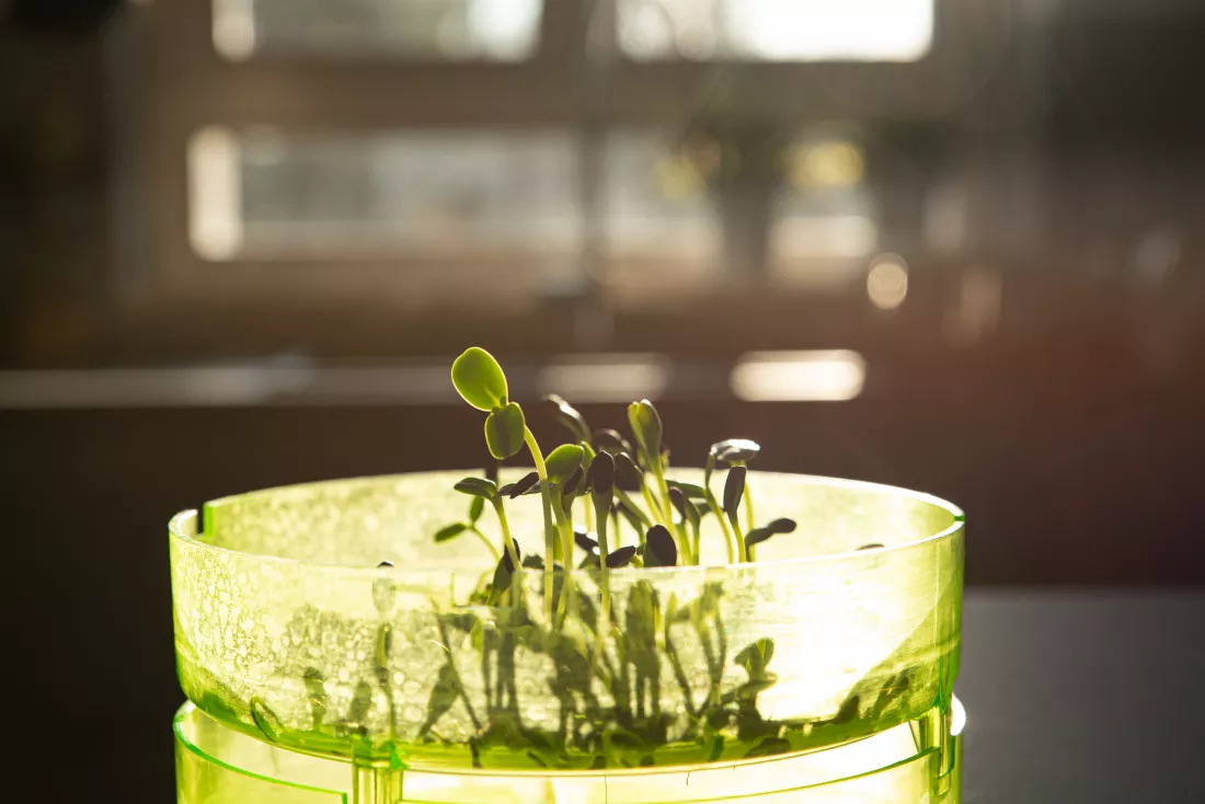 close-up-drink-table(1)