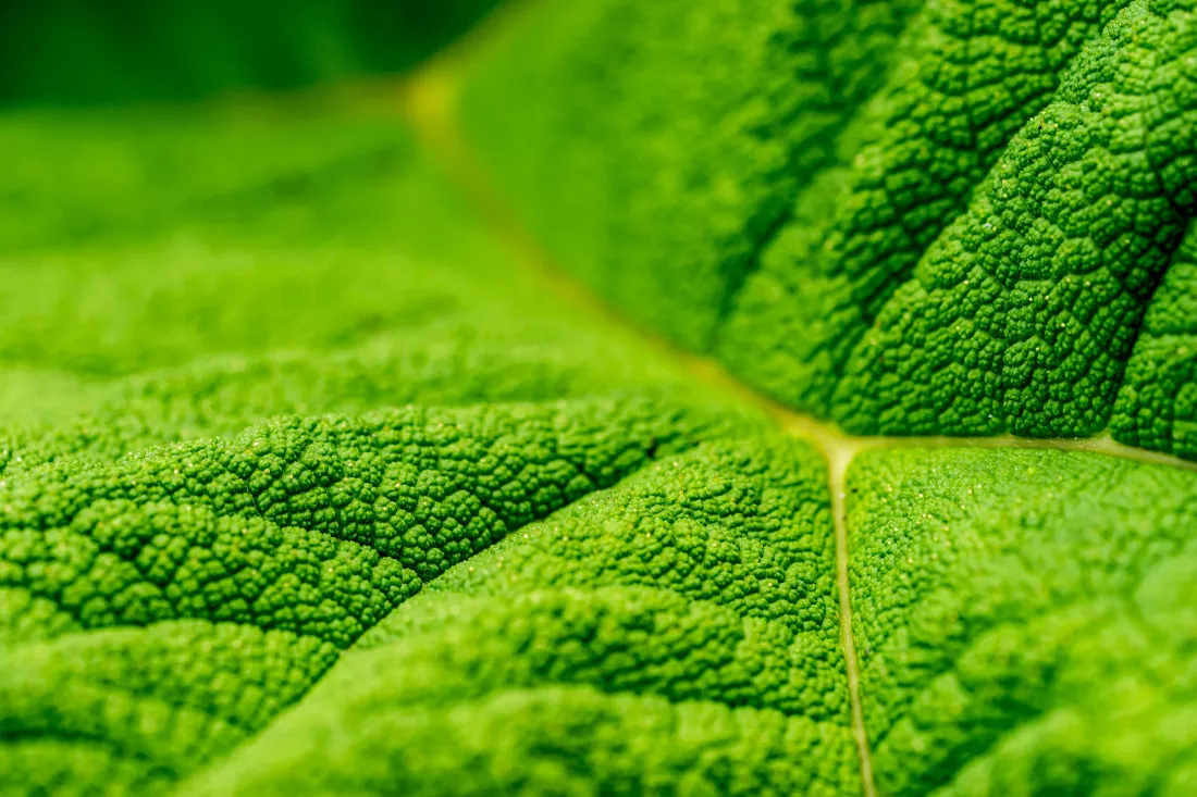stefan-steinbauer-YyWu19ab4_M-unsplash
