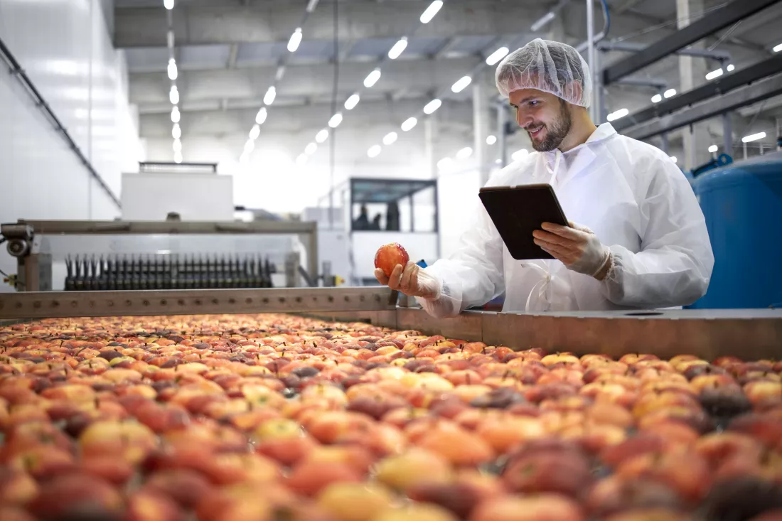 technologist-food-processing-factory-controlling-process-apple-fruit-selection-production(1)