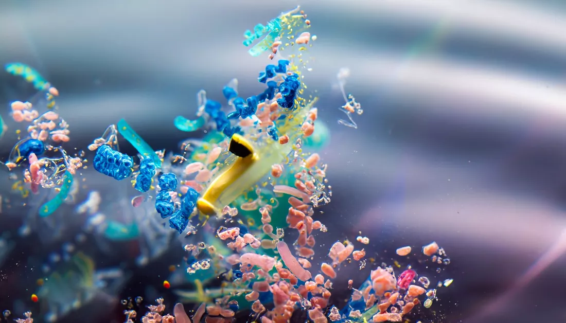 water-surface-which-lot-debris-plastic-floats-high-quality-photo